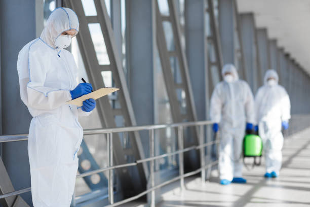  Ripley, TN Mold Removal Pros