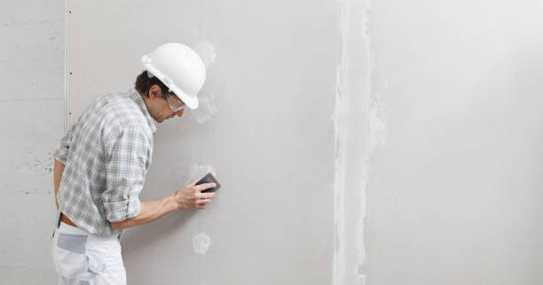 Ripley, TN Mold Removal Company