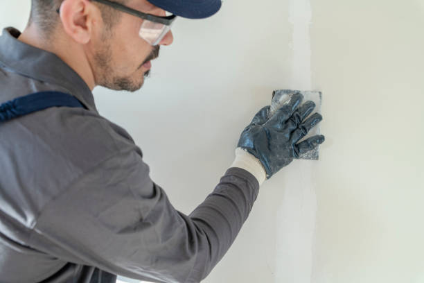 Best Mold Removal for HVAC Installations  in Ripley, TN