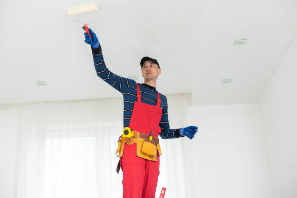 Best Dehumidification Services  in Ripley, TN