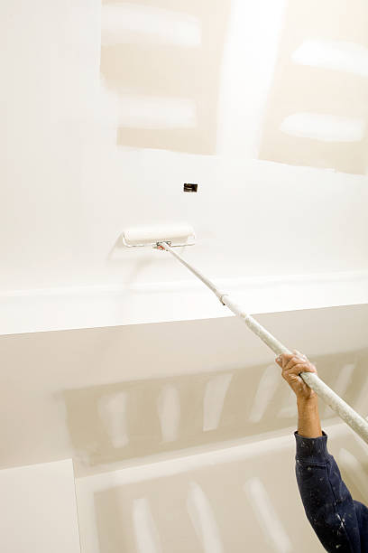 Best Real Estate Mold Inspection  in Ripley, TN